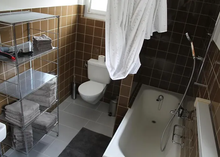 Tgesa Tieni Apartment Sedrun